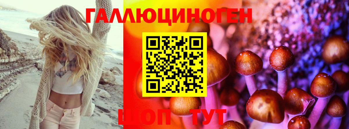 Псилоцибиновые грибы прущие грибы Луховицы