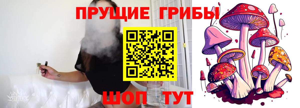 Луховицы  Псилоцибиновые грибы Psilocybine cubensis  Вход с VPN 